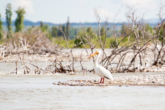 Wilson Scenic Float - The Guide: Friendly Expertise with a Personal Touch