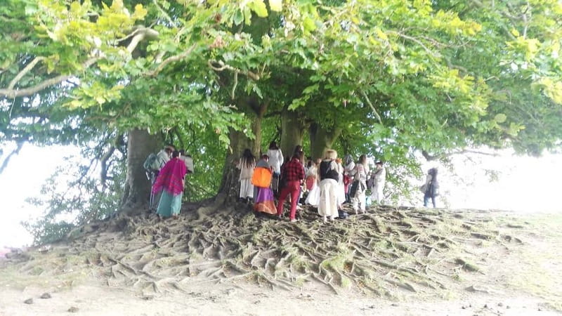 Wiltshire: Mystical and Dragons Guided Driving Tour - The Real Highlights: Why This Tour Excels