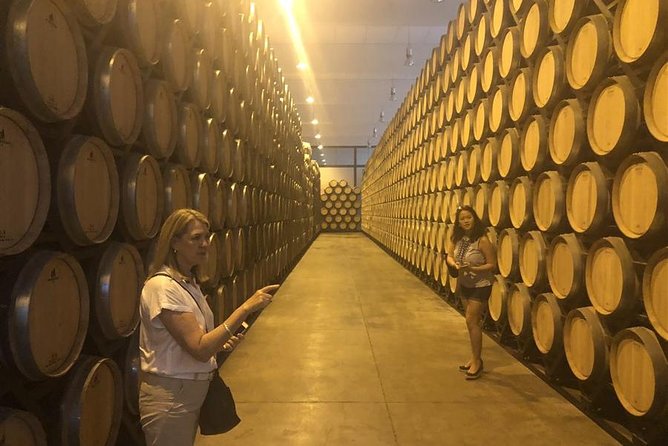 Windmills of Don Quixote Wine Tour & Tasting from Madrid - The Winemaking Region of La Mancha: A Closer Look