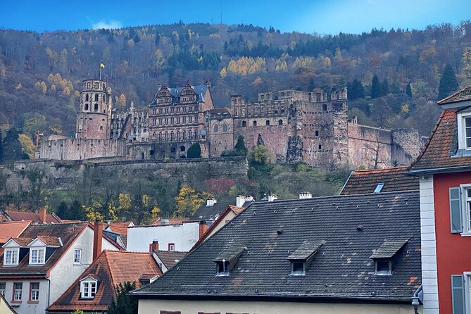 Wine along the Rhein - Half day Wine Tour from Mainz - Key Points