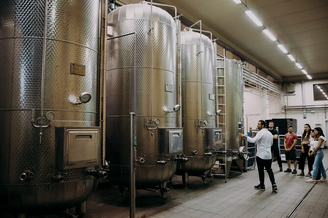 Wine and Balsamic Vinegar Tour with Tasting - Touring the Historic Acetaia and the Art of Balsamic Vinegar