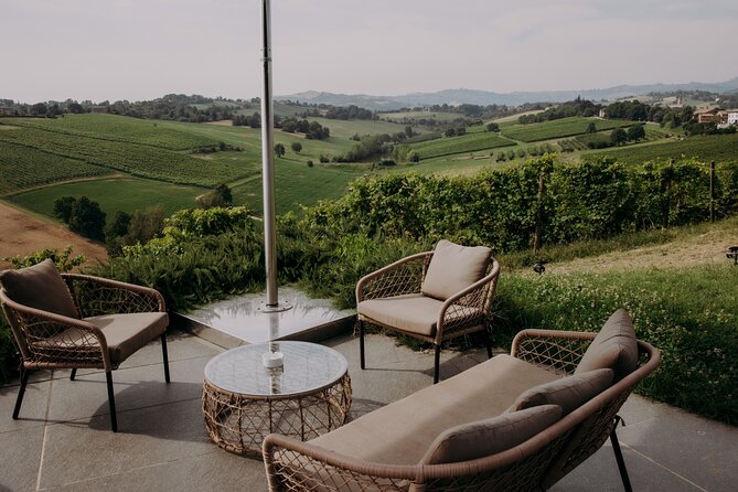 Wine and Balsamic Vinegar Tour with Tasting - Meeting Point and Logistics in Castelvetro di Modena