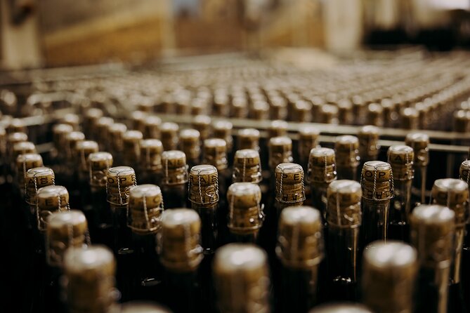 Wine and Balsamic Vinegar Tour with Tasting - The Friendly Atmosphere and Positive Feedback