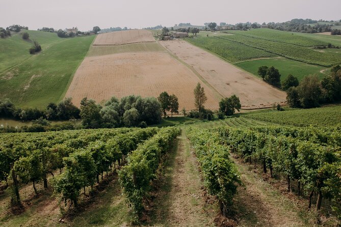 Wine and Balsamic Vinegar Tour with Tasting - How This Tour Fits into a Day in Modena