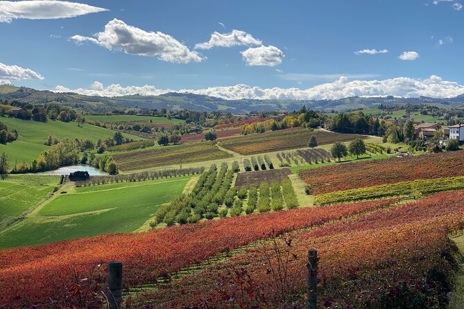 Wine and Balsamic Vinegar Tour with Tasting - Accessibility and Booking Tips