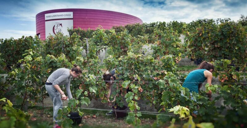 Wine and Cheese experience - Price and Value Considerations