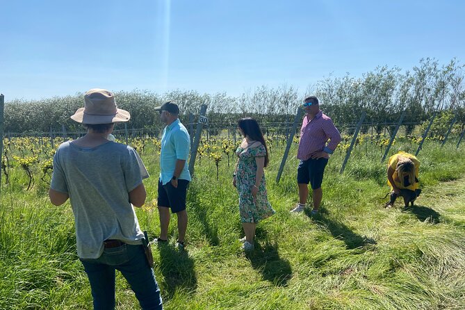 Wine and Cheese Tasting Tour in Cheddar Valley - Authenticity and Expert Guidance Make the Tour Stand Out