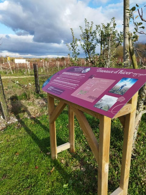 Wine and Chocolate experience - An Entertaining and Tasty Self-Guided Experience in Loire Valley