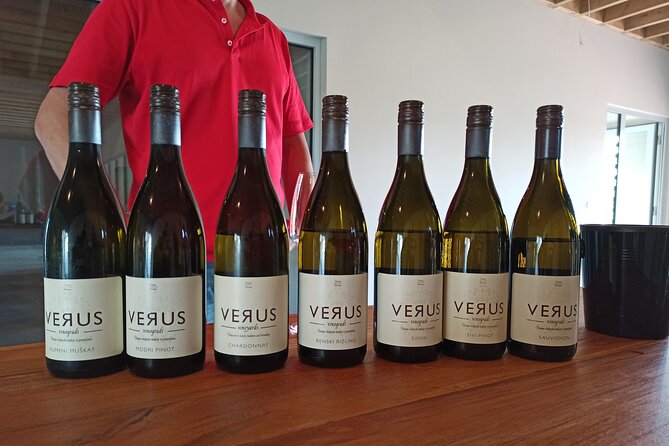 Wine and Culinary Adventure in Jeruzalem - Full Day Tour from Ljubljana or Ptuj - Discovering the Jeruzalem Wine Region in Slovenia