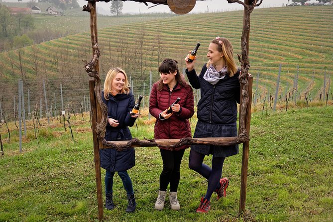 Wine and Culinary Adventure in Jeruzalem - Full Day Tour from Ljubljana or Ptuj - Logistics: Private Transport and Flexible Pickup