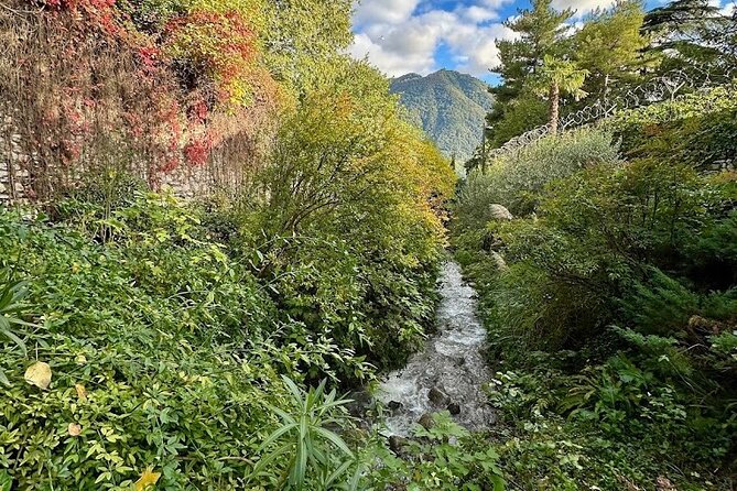 Wine and Culture on the Lake: An Italian Experience in Como - Exploring Italian Heritage Through Literature and Art