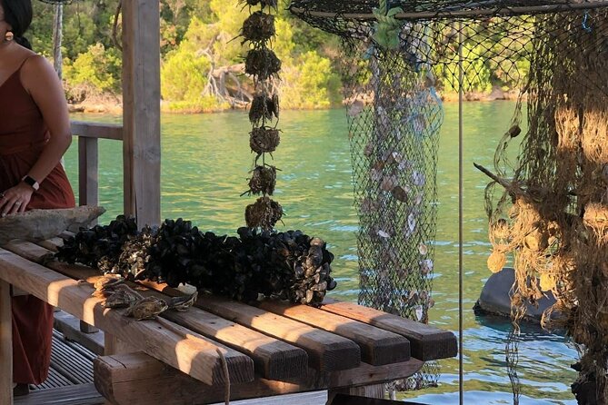 Wine and Food Daily Tour - Scenic Return to Dubrovnik