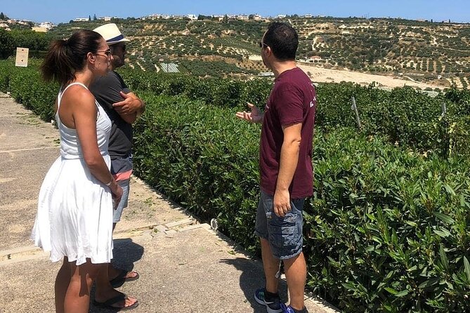 Wine and Food of Crete, Heraklion - Key Points