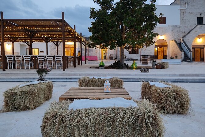 Wine and Food Pairing Experience at Alberobello Winery - The Experience in the Vineyard with Expert Guides