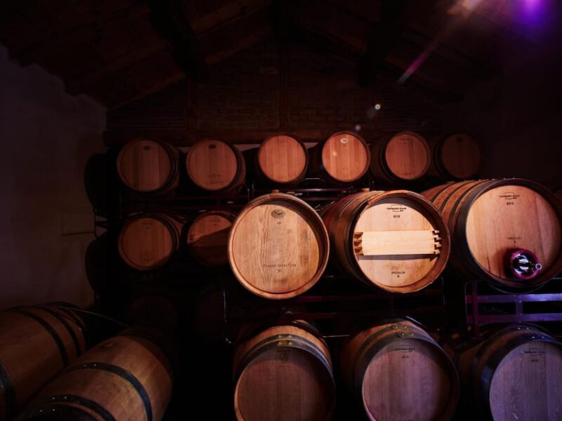 Wine and Food Pairing Tasting Las dos Antiguas- Bodega Artesanal Segovia - Discover the Charm of Las dos Antiguas in Segovia