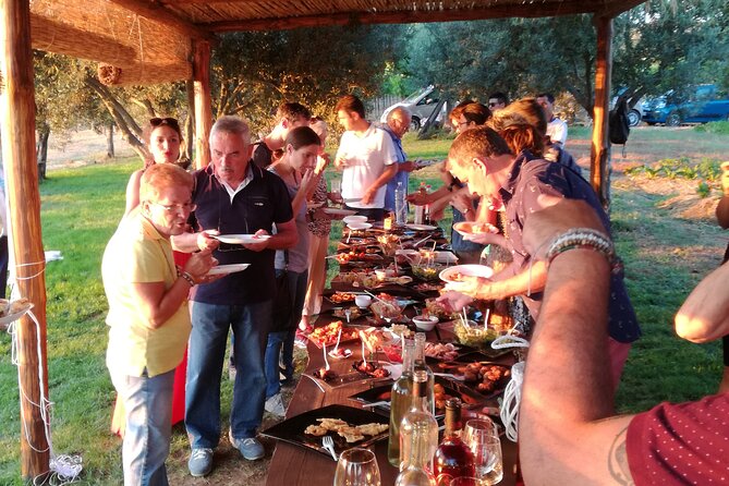 Wine and food tasting - Timing and Pacing: An Evening of Taste and Scenic Views