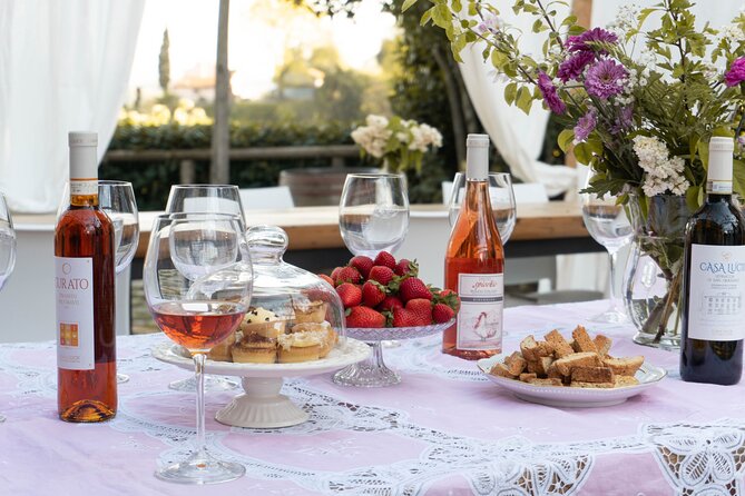 Wine and food tasting in an organic family winery - The Setting: Picturesque Views and Casual Elegance