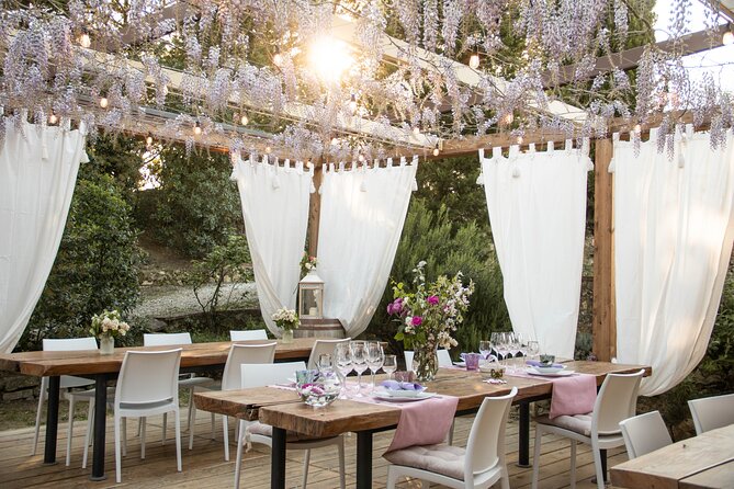 Wine and food tasting in an organic family winery - Why This Tour Stands Out in Tuscany