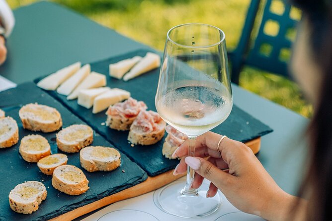Wine and Food Tasting in the Vineyards in Lazise - Visiting a Boutique Winery Near Lazise