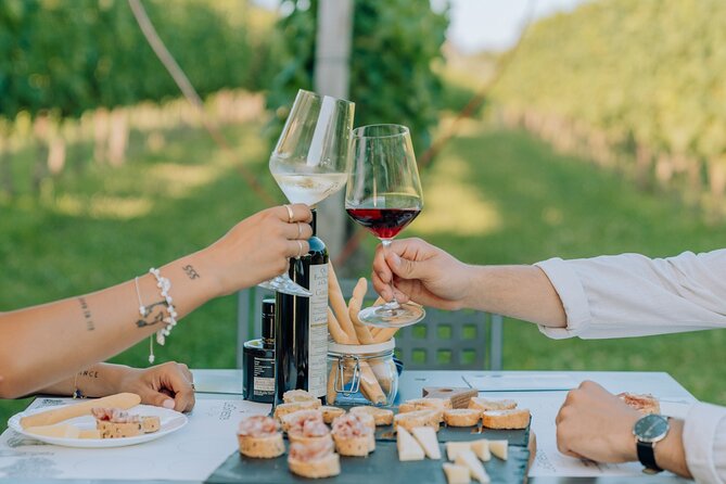 Wine and Food Tasting in the Vineyards in Lazise - Local Food Pairings and Olive Oil Tasting