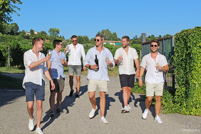 Wine and Food Tasting in the Vineyards in Lazise - The Vineyard Walk and Scenic Views