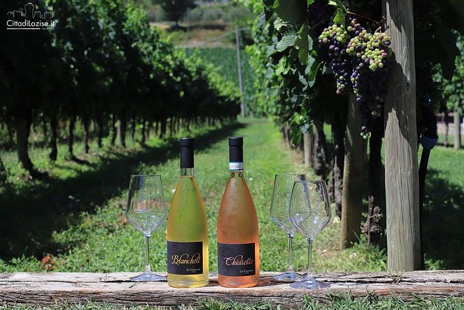 Wine and Food Tasting in the Vineyards in Lazise - The Food and Wine Experience: A Mix of Relaxation and Education