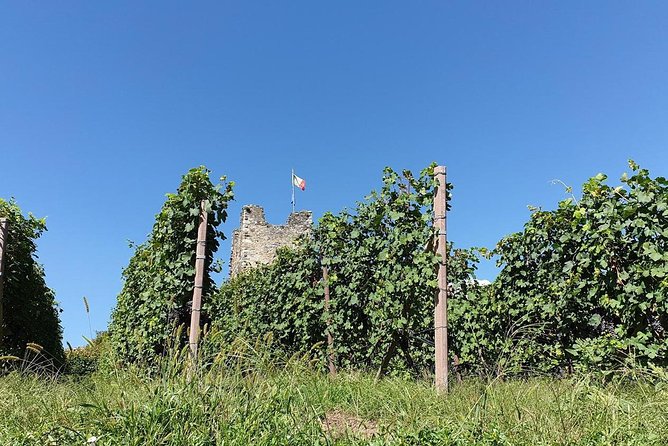 Wine and Food tasting PRIVATE Guided Tour - Key Points