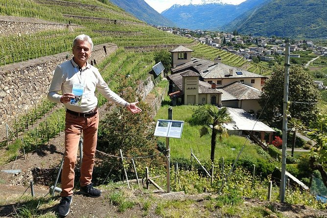 Wine and Food tasting PRIVATE Guided Tour - Sampling Local Wines and Artisan Foods in Valtellina