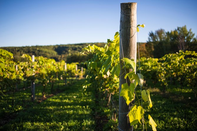 Wine and Lunch Escape - Exploring Annapolis Valley’s Scenic Views