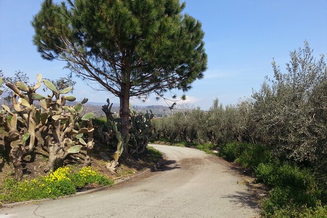 Wine and Lunch Tour - Who Should Consider This Tour?