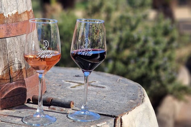 Wine and Tapas Tasting Tour from Alicante, Private Van - Explore Alicante’s Finest Wineries with a Private Van Tour