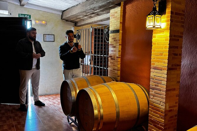 Wine and Tapas Tasting Tour from Alicante, Private Van - The Experience of the Vineyard and Winery Tours