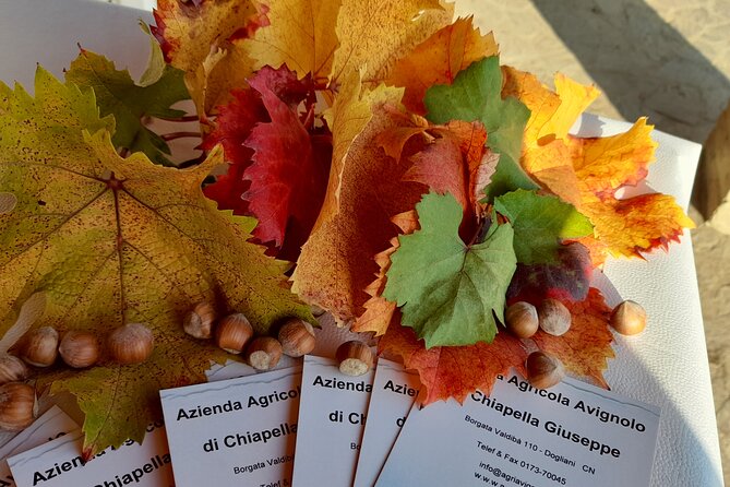 Wine and Typical Product Tasting Tour - Interactive Features and Family Fun