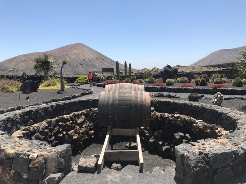 Wine and volcan private tour - Practical Details and Tour Logistics