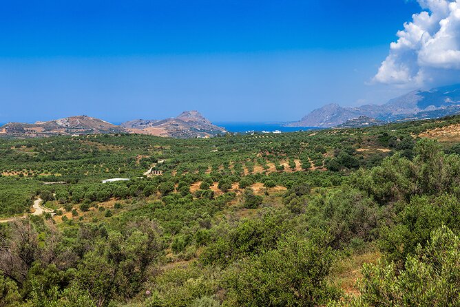 Wine, Beer, Olive Oil Tasting Private Tour (price per group of 6) - Optional Visits to WW2 Sites and the Gonia Monastery