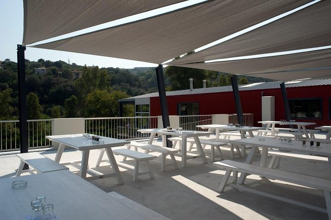 Wine, Beer, Olive Oil Tasting Private Tour (price per group of 6) - Practical Details and Additional Costs