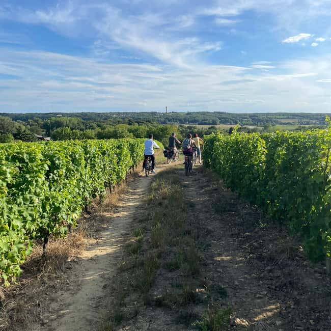Wine & cheese ebike tour with tasting in the vineyards - Scenic Tastings with a View in the Vineyards