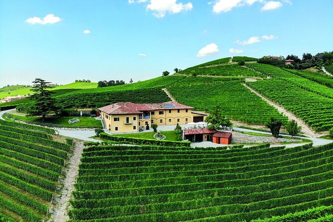 Wine & Chocolate Tour and Tasting in Alba area - Inside the Winery: From Harvest to Barrels