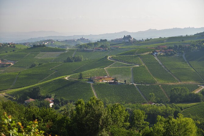 Wine & Chocolate Tour and Tasting in Alba area - The Wine & Chocolate Tasting: A Rich Pairing