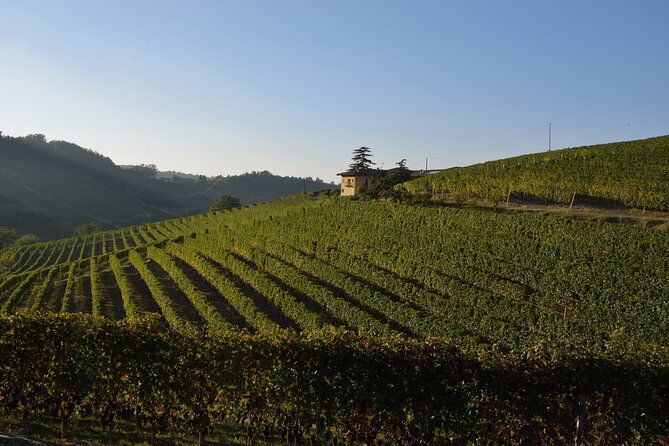 Wine & Chocolate Tour and Tasting in Alba area - Practical Details: Meeting Point and Group Size