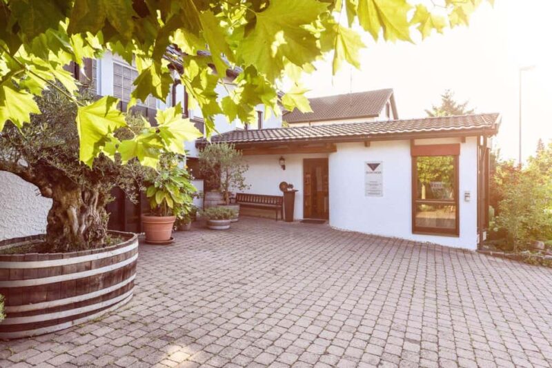 Wine City: 6 Wine Tasting with Bread, Water + Discount on Favorite Wine - The 6-Wine Selection: Regional Diversity and Character