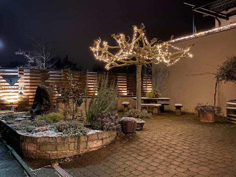 Wine City: 6 Wine Tasting with Bread, Water + Discount on Favorite Wine - The Tasting Experience with a Wine Expert