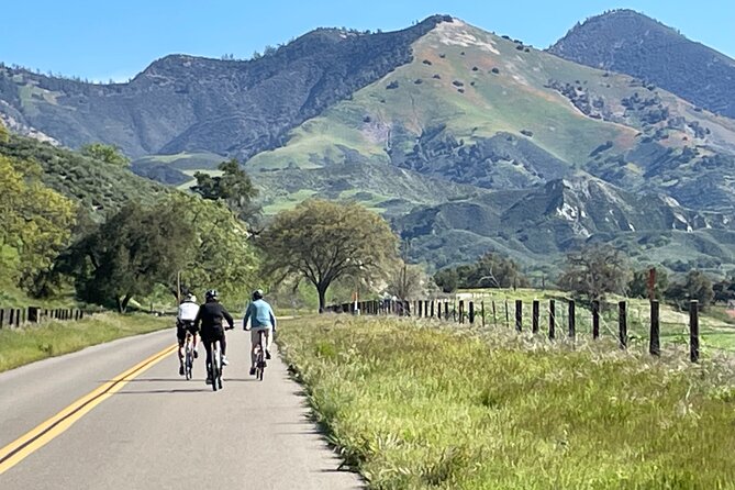 Wine Country Farm to Table Bike Tour w/Lunch - Key Points