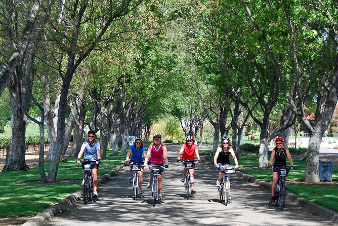 Wine Country Farm to Table Bike Tour w/Lunch - Olive Oil Tasting in Los Olivos