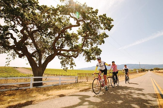 Wine Country Farm to Table Bike Tour w/Lunch - Exploring Lavender Farms and Oil Pressing