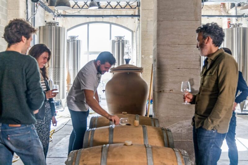 Wine creation workshop - Bordeaux - Darwin - An Educational Introduction to Bordeaux Grape Varieties