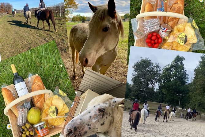 Wine Degustation, Visit and Masterclass from Vérac - The Wines and Cheese Pairings in Detail