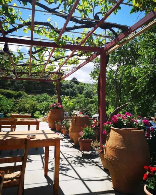 Wine, Dine & Divine: A Cretan Odyssey in Chania - Explore the Heart of Western Crete with a Private Guided Tour