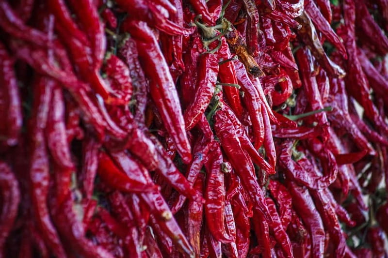 Wine & Dine group tour from Kutaisi - The Experience at Baias Winery: An Authentic Taste of Georgia