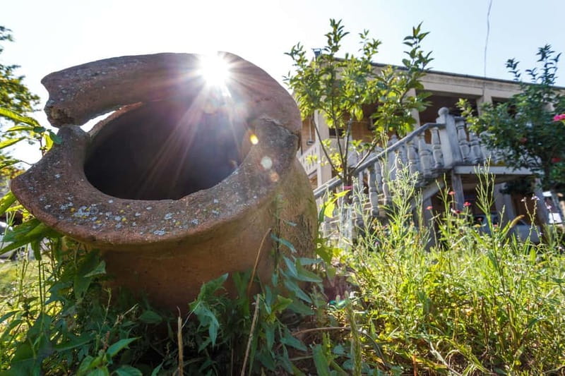 Wine & Dine group tour from Kutaisi - Final Thoughts on the Kutaisi Wine & Dine Tour